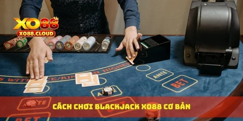 Cách chơi blackjack XO88 cơ bản
