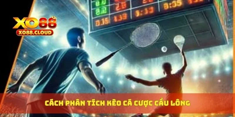 Cách phân tích kèo cá cược cầu lông